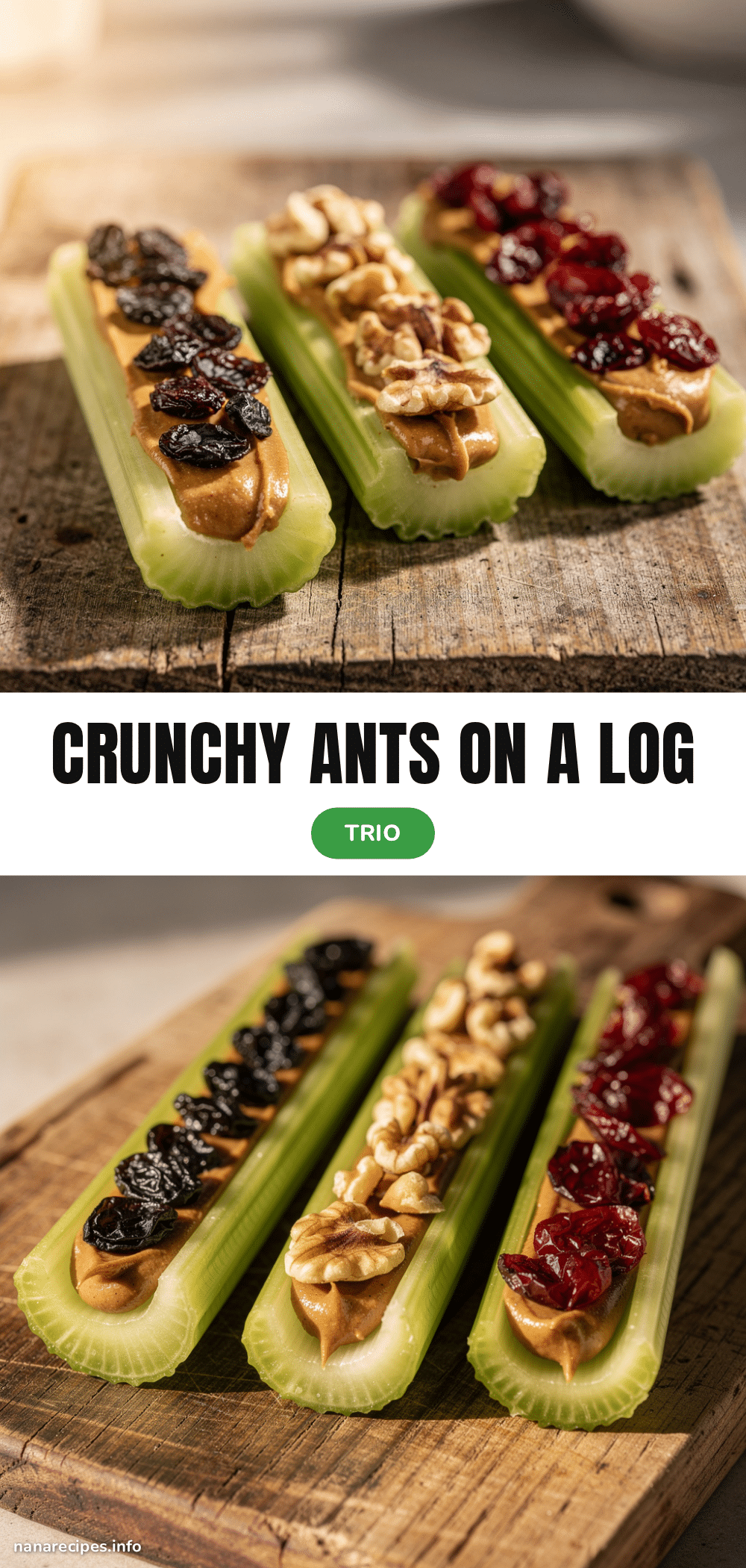 fresh ants on a log almond butter recipe